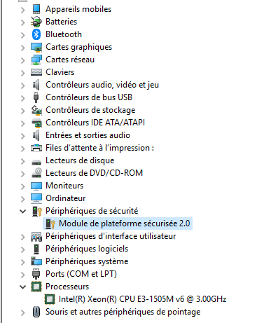 TPM Activation with Windows Security Administration screenshot