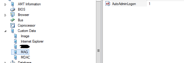 Inventory - Registry keys and exe file with Ivanti EPM screenshot