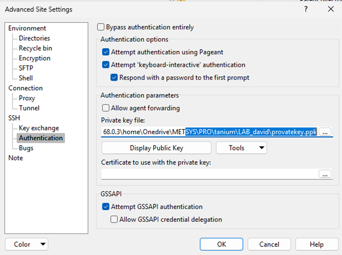 WinSCP configured with the private key